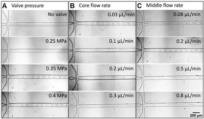 One-step on-chip microfluidic synthesis of the hybrid capsules using aqueous two-phase system